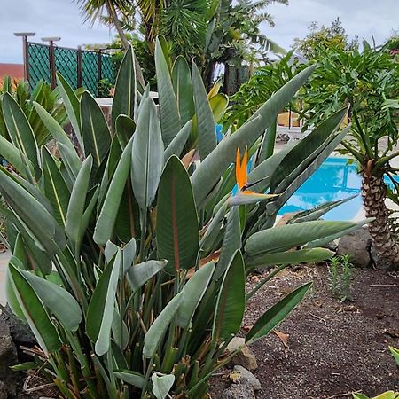 伊科德·德·洛斯·维诺斯Oasis Hill Botanical Garden别墅 外观 照片