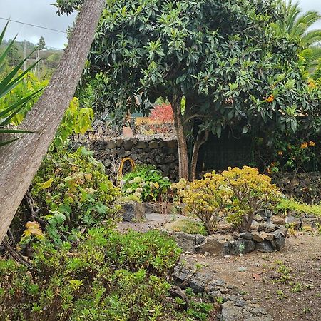 伊科德·德·洛斯·维诺斯Oasis Hill Botanical Garden别墅 外观 照片