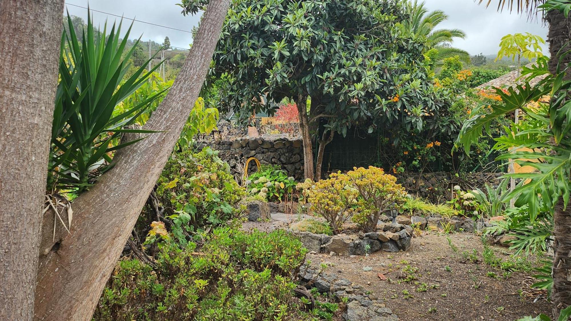伊科德·德·洛斯·维诺斯Oasis Hill Botanical Garden别墅 外观 照片