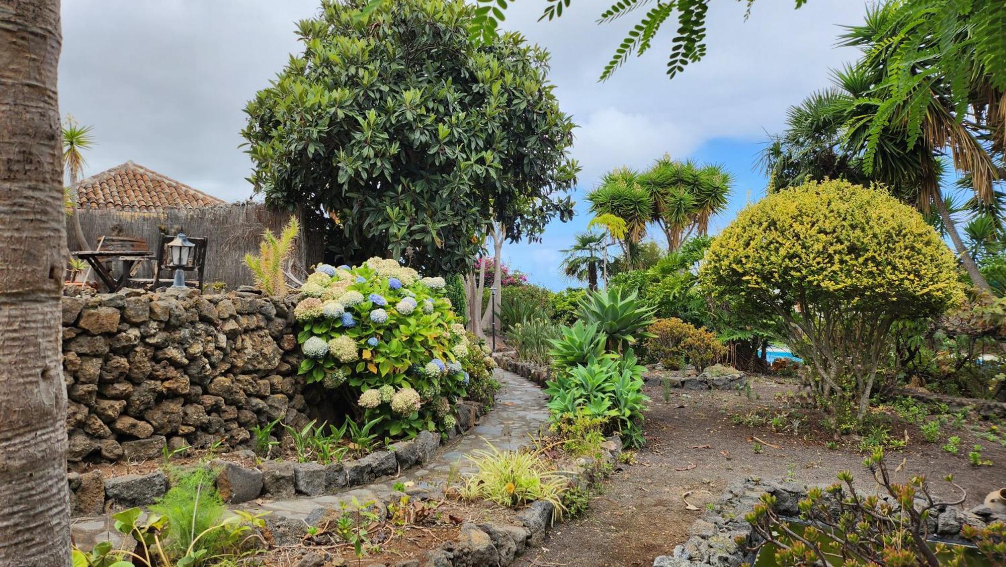 伊科德·德·洛斯·维诺斯Oasis Hill Botanical Garden别墅 外观 照片