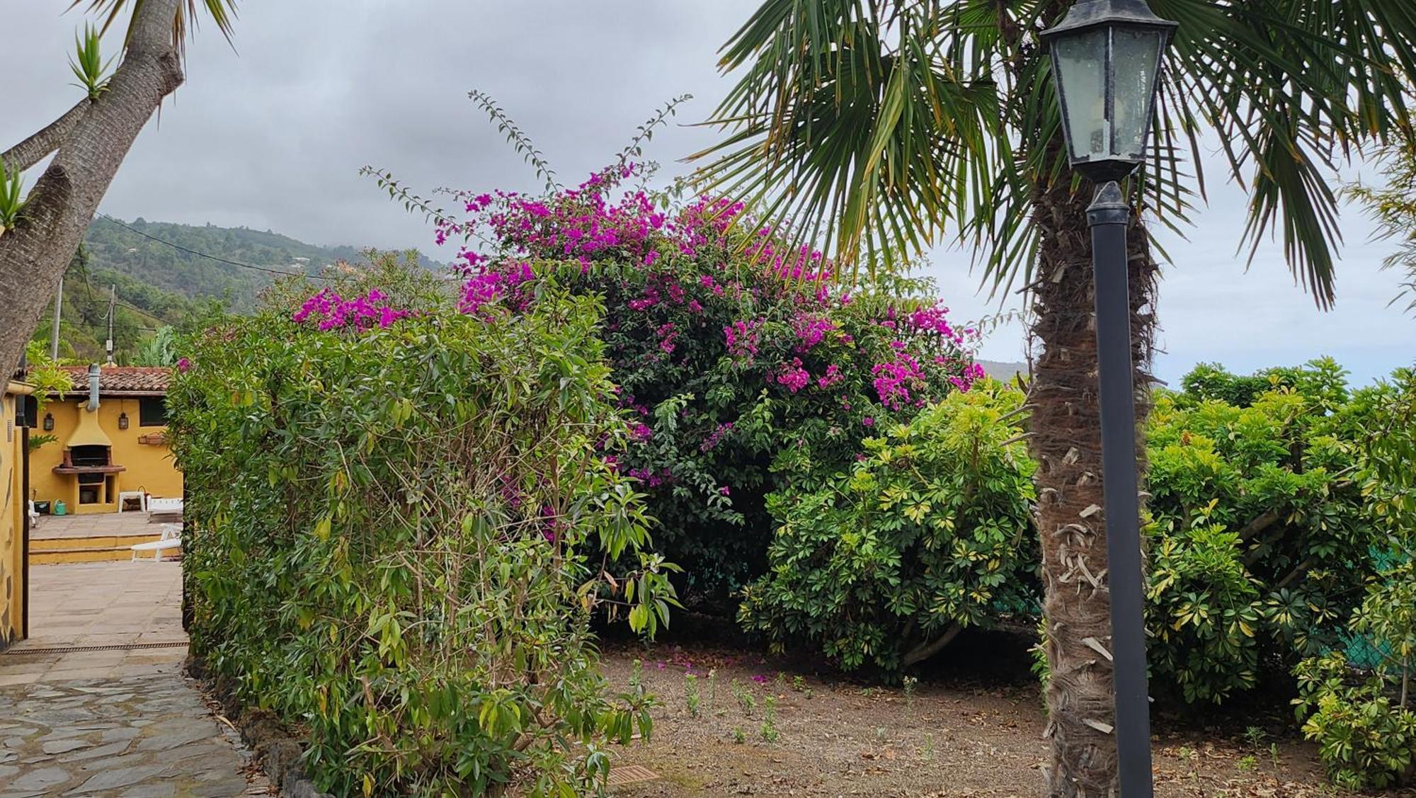 伊科德·德·洛斯·维诺斯Oasis Hill Botanical Garden别墅 外观 照片