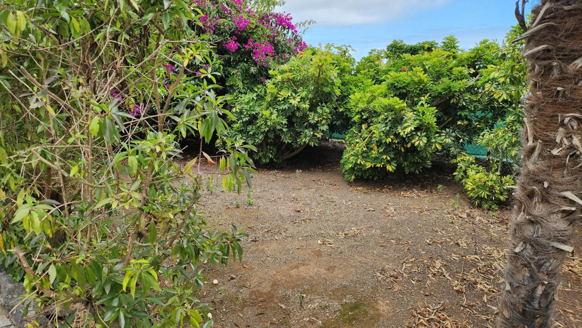 伊科德·德·洛斯·维诺斯Oasis Hill Botanical Garden别墅 外观 照片