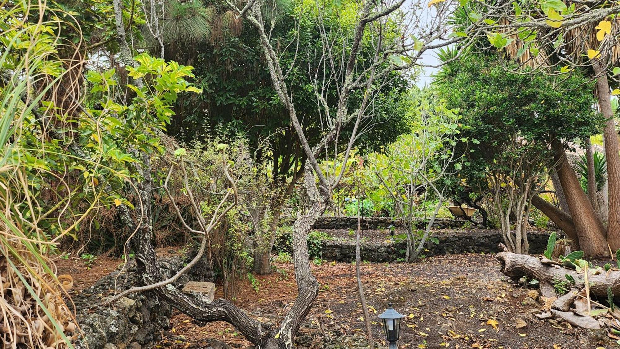 伊科德·德·洛斯·维诺斯Oasis Hill Botanical Garden别墅 外观 照片