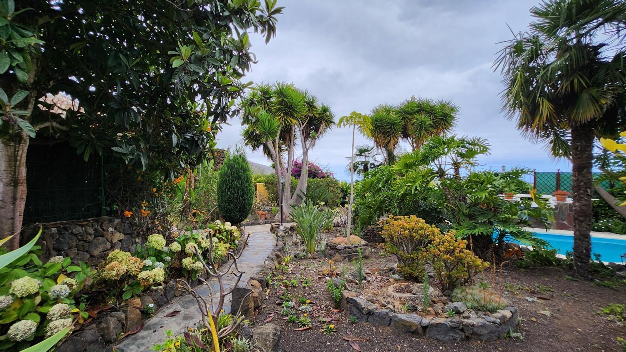 伊科德·德·洛斯·维诺斯Oasis Hill Botanical Garden别墅 外观 照片