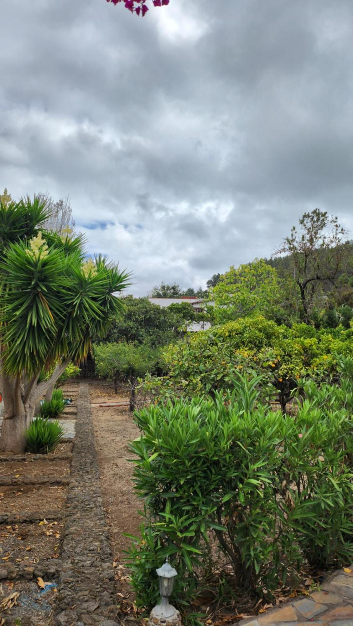 伊科德·德·洛斯·维诺斯Oasis Hill Botanical Garden别墅 外观 照片