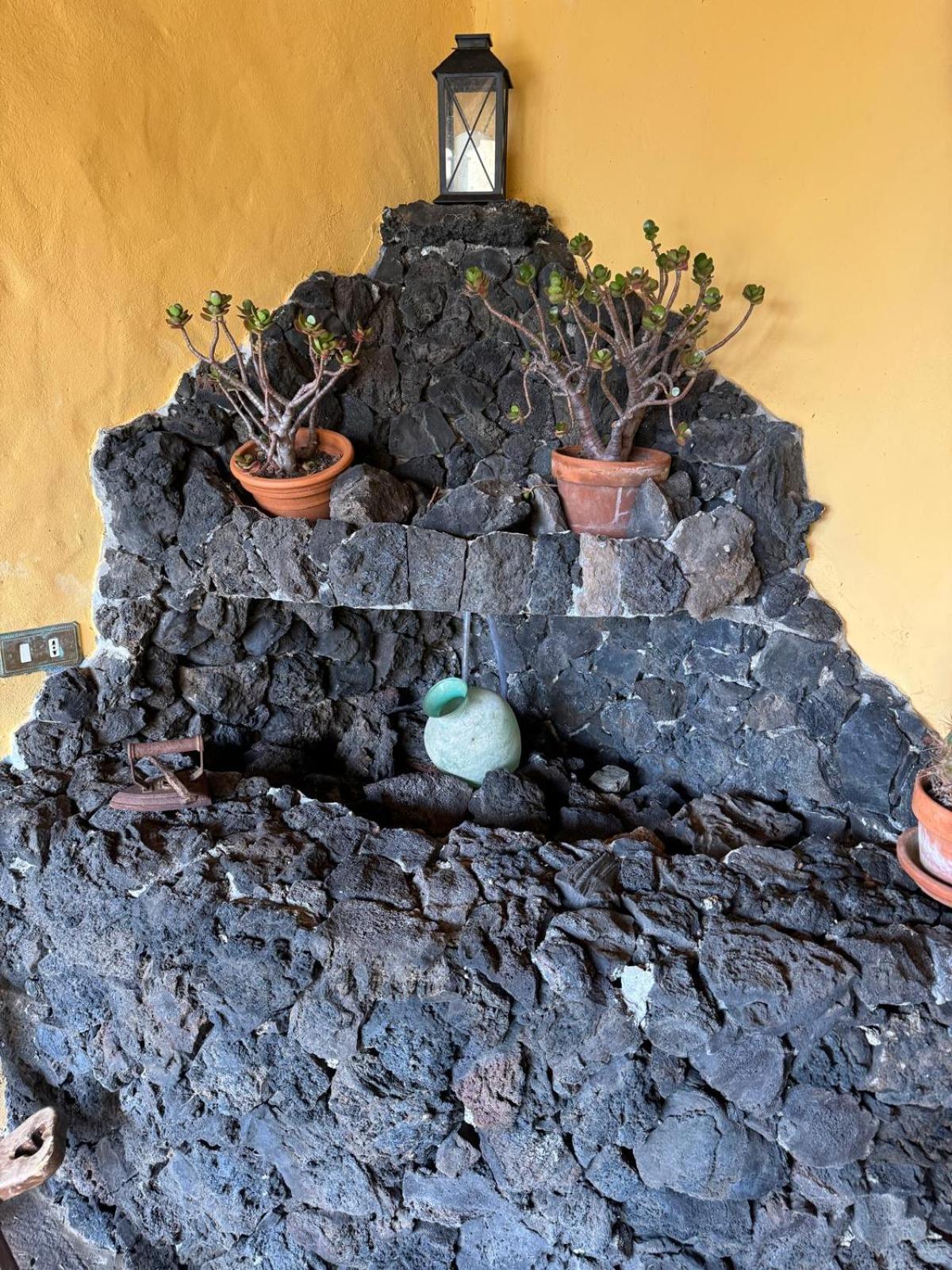 伊科德·德·洛斯·维诺斯Oasis Hill Botanical Garden别墅 外观 照片