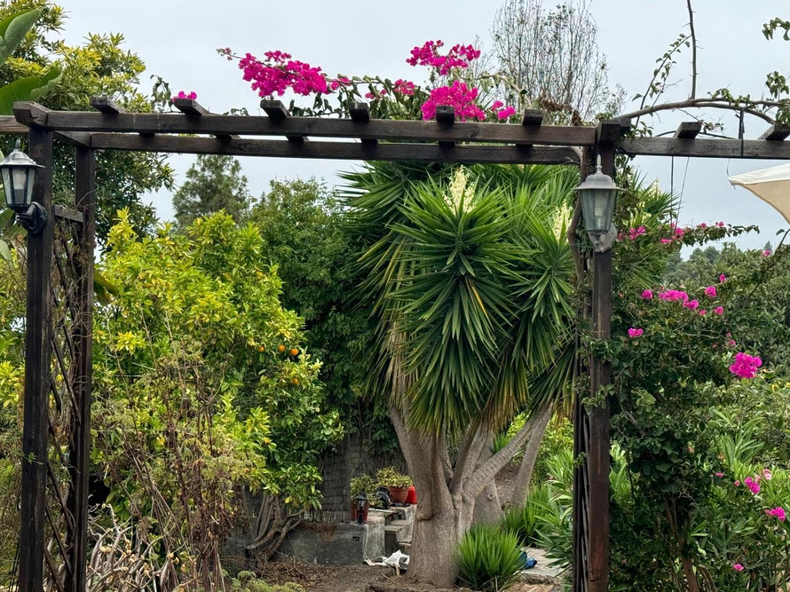伊科德·德·洛斯·维诺斯Oasis Hill Botanical Garden别墅 外观 照片